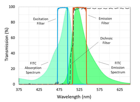 Fluorescence Filter Sets for Microscopy and Imaging